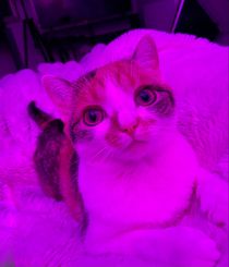 Jamie💕 (@jamiie.lynn98) | Snapchat Stories, Spotlight & Lenses