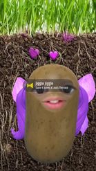 Preview for a Spotlight video that uses the ANNII POTATO FAIRY Lens