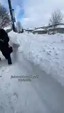 In this hilarious winter prank, Gus The Great walks into a massive snowbank, seemingly getting stuck. The camera follows his journey through the deep snow, creating a suspenseful and funny moment. Will he escape? Watch to find out! by @gusthegreats with Original Sound by Contains: Fade Into You - Mazzy Star