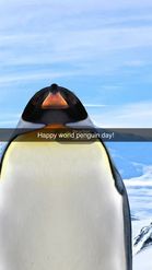 Preview for a Spotlight video that uses the PENGUIN Lens