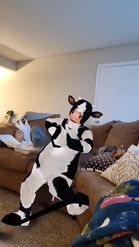 Preview for a Spotlight video that uses the 3D Cow Suit Lens