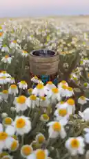 Video by @adhbalteeb with Original Sound by adhbalteeb