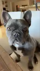 izzy rae :) (@luvizzyrae) | Snapchat Stories, Spotlight & Lenses