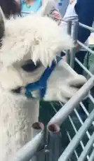 Haileeandkendra (@kendraandhailee) | Snapchat Stories, Spotlight & Lenses