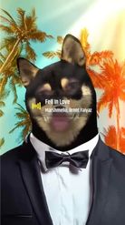 Preview for a Spotlight video that uses the Shiba Inu in suit Lens