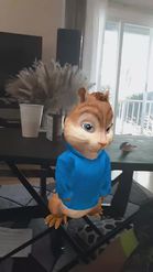 Preview for a Spotlight video that uses the Simon Chipmunk Lens