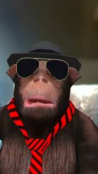 Preview for a Spotlight video that uses the Monkey Lens