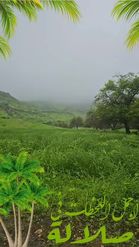 Preview for a Spotlight video that uses the Salalah Lens