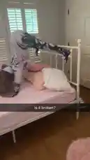 Jennie Lynnie (@jennie_lynnie) | Snapchat Stories, Spotlight & Lenses