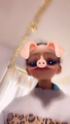 Preview for a Spotlight video that uses the Funny Pig Lens