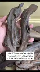 Video by @nawader.aloud44 with original sound