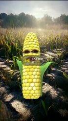 Preview for a Spotlight video that uses the Corn Lens