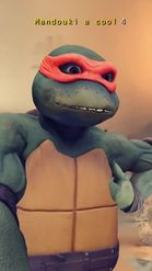 Preview for a Spotlight video that uses the TMNT Lens