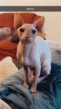 Erin Olash (@erinolash) | Snapchat Stories, Spotlight & Lenses