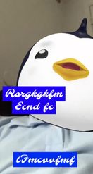 Preview for a Spotlight video that uses the Pudgy Penguin Lens