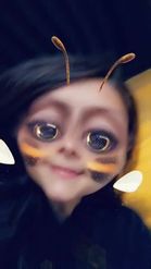 Preview for a Spotlight video that uses the Cute Bee Lens