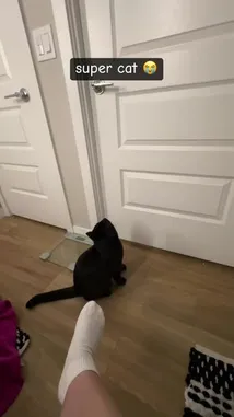 Ash Wilder (@theashgonewild) | Snapchat Stories, Spotlight & Lenses