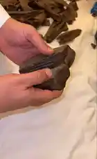 Video by @nawader.aloud44 with original sound