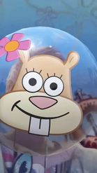 Preview for a Spotlight video that uses the sandy cheeks Lens