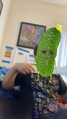 Preview for a Spotlight video that uses the Pickle Head Lens