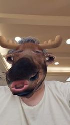 Preview for a Spotlight video that uses the Moose Head Lens