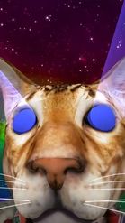 Preview for a Spotlight video that uses the COSMIC CATS Lens