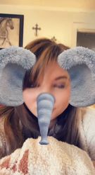 Preview for a Spotlight video that uses the Funny Elephant Lens