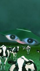 Preview for a Spotlight video that uses the Cows and Aliens Lens