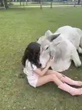 Cayla Bri (@caylabriii) | Snapchat Stories, Spotlight & Lenses