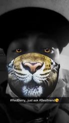 Preview for a Spotlight video that uses the Tiger Mask Lens