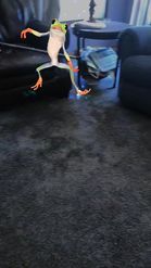 Preview for a Spotlight video that uses the Dancing Frog Lens