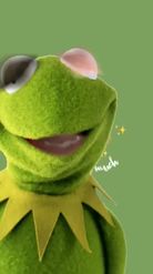 Preview for a Spotlight video that uses the Kermit the Frog Lens