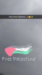 Preview for a Spotlight video that uses the Free Palestine Lens