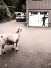 Video by @new_ef7 with original sound