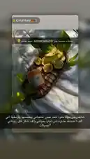 Video by @semsemallc25 with original sound