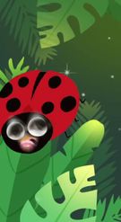 Preview for a Spotlight video that uses the Ladybug Face Lens