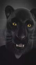 Preview for a Spotlight video that uses the Panther Lens