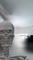 Preview for a Spotlight video that uses the Skeleton Body Lens