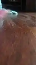 ✨your home will be sparkling clean in no by @in.100service with original sound