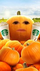 Preview for a Spotlight video that uses the  Starbucks PSL  Lens