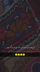 Preview for a Spotlight video that uses the Urdu Text 10 Lens