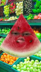 Preview for a Spotlight video that uses the single watermelon Lens