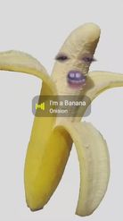 Preview for a Spotlight video that uses the Banana Lens