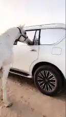 ٢٠١٦ by @bbbbb with original sound