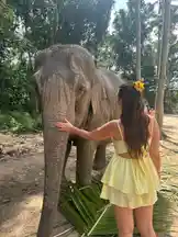 KOH SAMUI🇹🇭 by @liisa.niiko with original sound