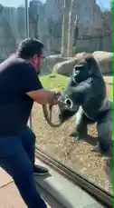 Too strong 💪 by @mrvechain with original sound