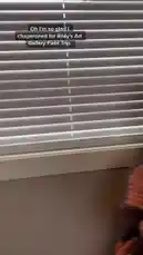 In this comedic skit, Kallmekris takes viewers on a pretend field trip to an art gallery. She plays multiple characters, including an art critic and a confused visitor, to humorously analyze a piece titled 'Caged Bananas.' The sketch satirizes pretentious art interpretations, culminating in a classic 'Da Vinci vs. Beethoven' comparison joke. It's a perfect example of Kallmekris' signature absurdist and character-driven comedy. by @kallmekris with kallmekris by Original Sound