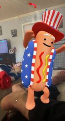 Preview for a Spotlight video that uses the Hot Dog Independence Day Lens