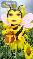 Preview for a Spotlight video that uses the Iam A Bee Lens