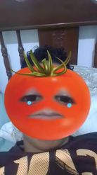 Preview for a Spotlight video that uses the Crying Tomato Lens
